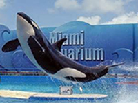 Miami Seaquarium