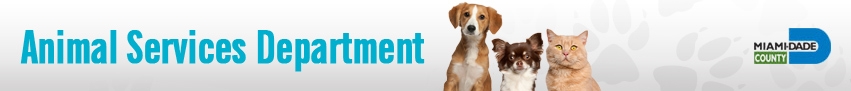 Animal Services