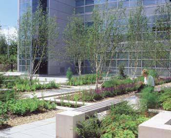 Commercial   landscaping