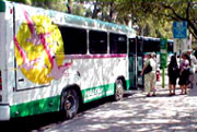 A bus in Hialeah picking up passengers.