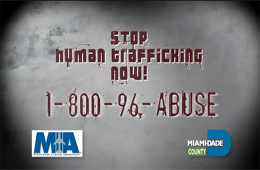 human trafficking 