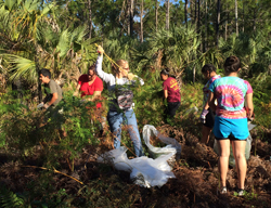 People cleaning up weeds