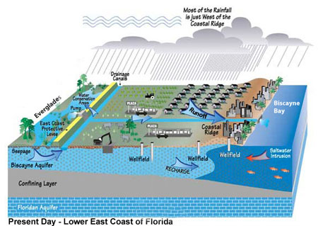 South Florida water