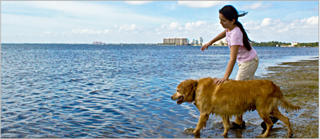 Animals & Pets Photograph