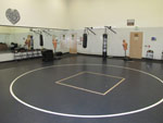Defensive Tactics Training Room