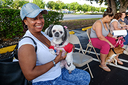 spay and neuter event for dogs