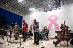 Music in the Park