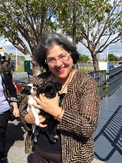 Puppies at the clinic opening