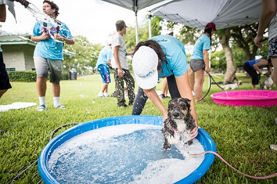 Dog enjoys a bath