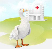 aflac duck in front of hospital