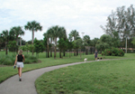 Trail