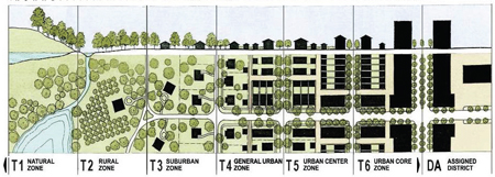 Transect