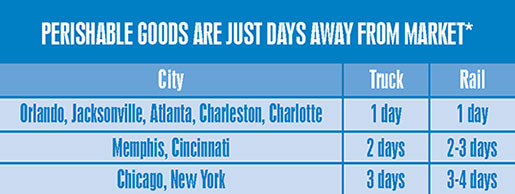 Perishable Goods Transit Times