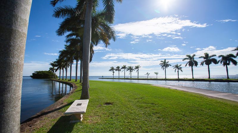 deering estate palm trees and water view