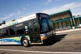 Image of the 31 Busway Local