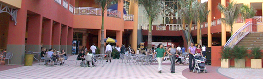 Shopping Malls