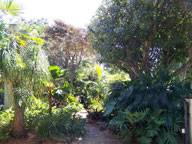 Florida-friendly landscaping