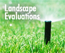 Landscape evaluations