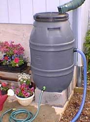 rain barrel