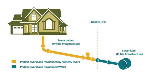 Infographic of home with sewer lines