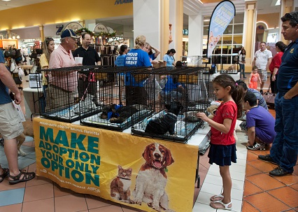 pet store adoption events near me