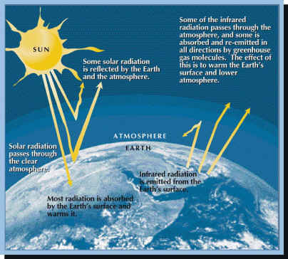 The Greenhouse Effect