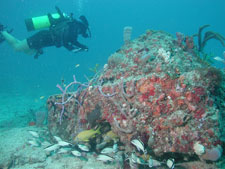 Sunny Isles Reef Restoration Onsite Monitoring