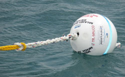 Travalco buoy sponsor