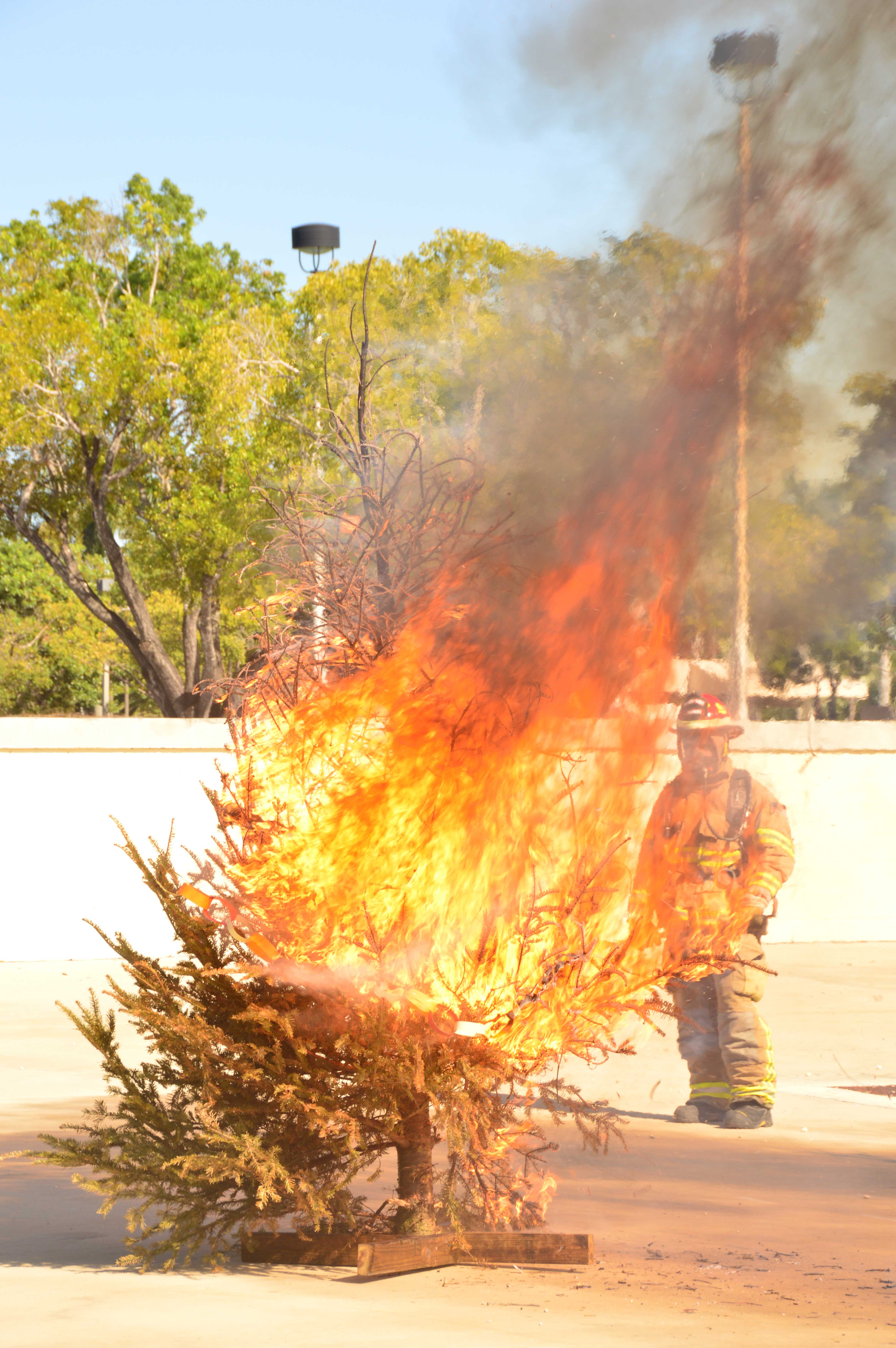 MiamiDade County Fire Rescue