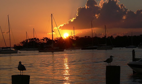 Crandon Marina