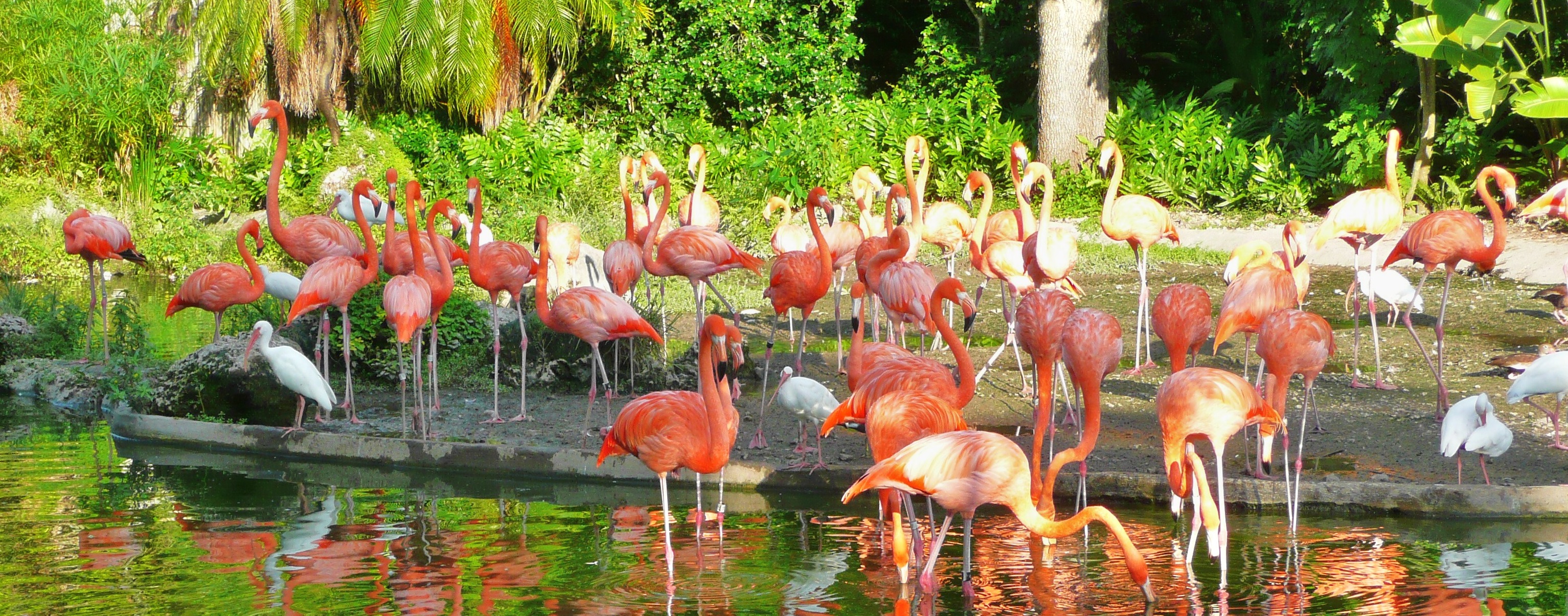 Zoo Miami