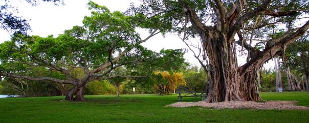 Matheson Hammock Park - Miami-Dade County