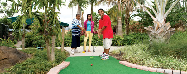 Palmetto Mini-Golf