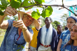 A tour group looking at fruit.