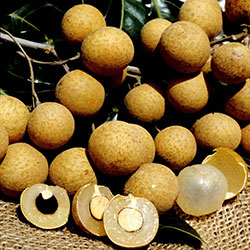 Longan