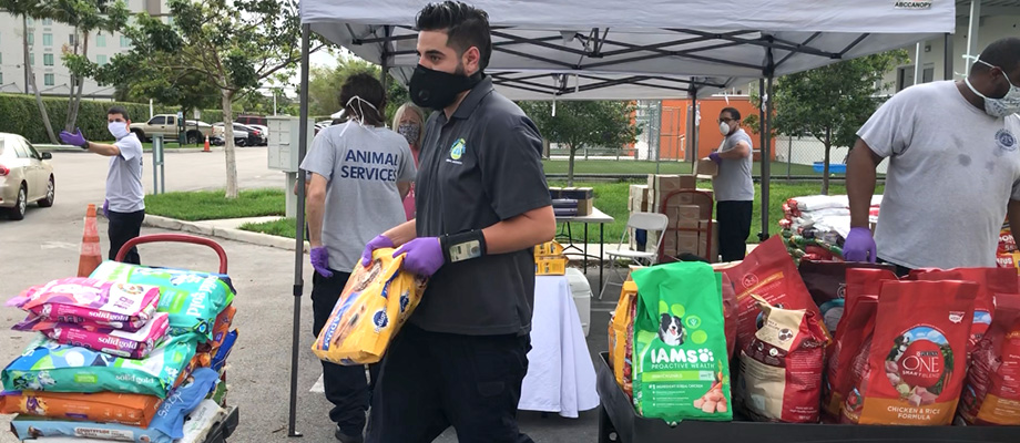 Miami-Dade employees handing out dog food