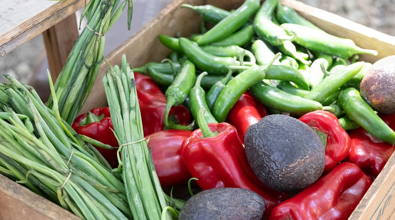 Image of fruits and vegetables