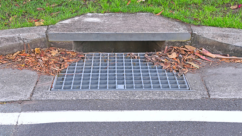 A storm drain with leaves on either side.