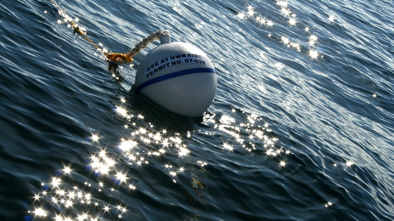 A mooring buoy floating in the water.