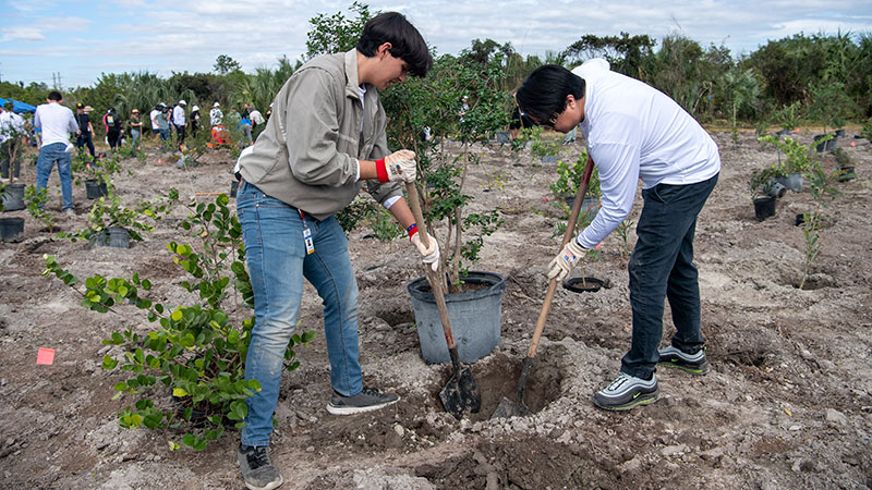 Volunteers helping to restore endangered lands.
