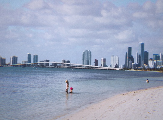 Go to image 03.