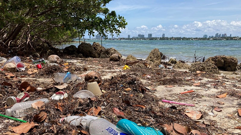 Plastic waste on the Biscayne Bay shore.