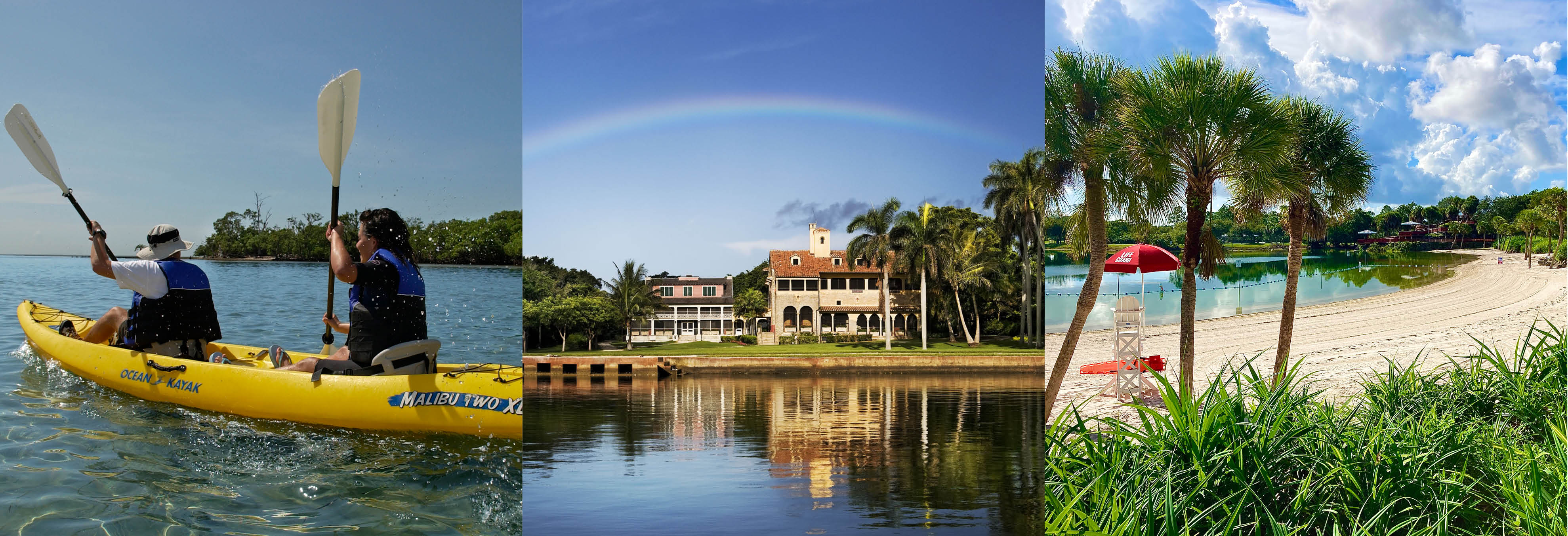 Matheson Hammock Park – The Tidal Pool, Hidden Nature Spot