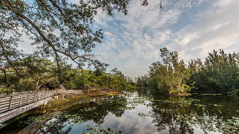 Image of a lake.