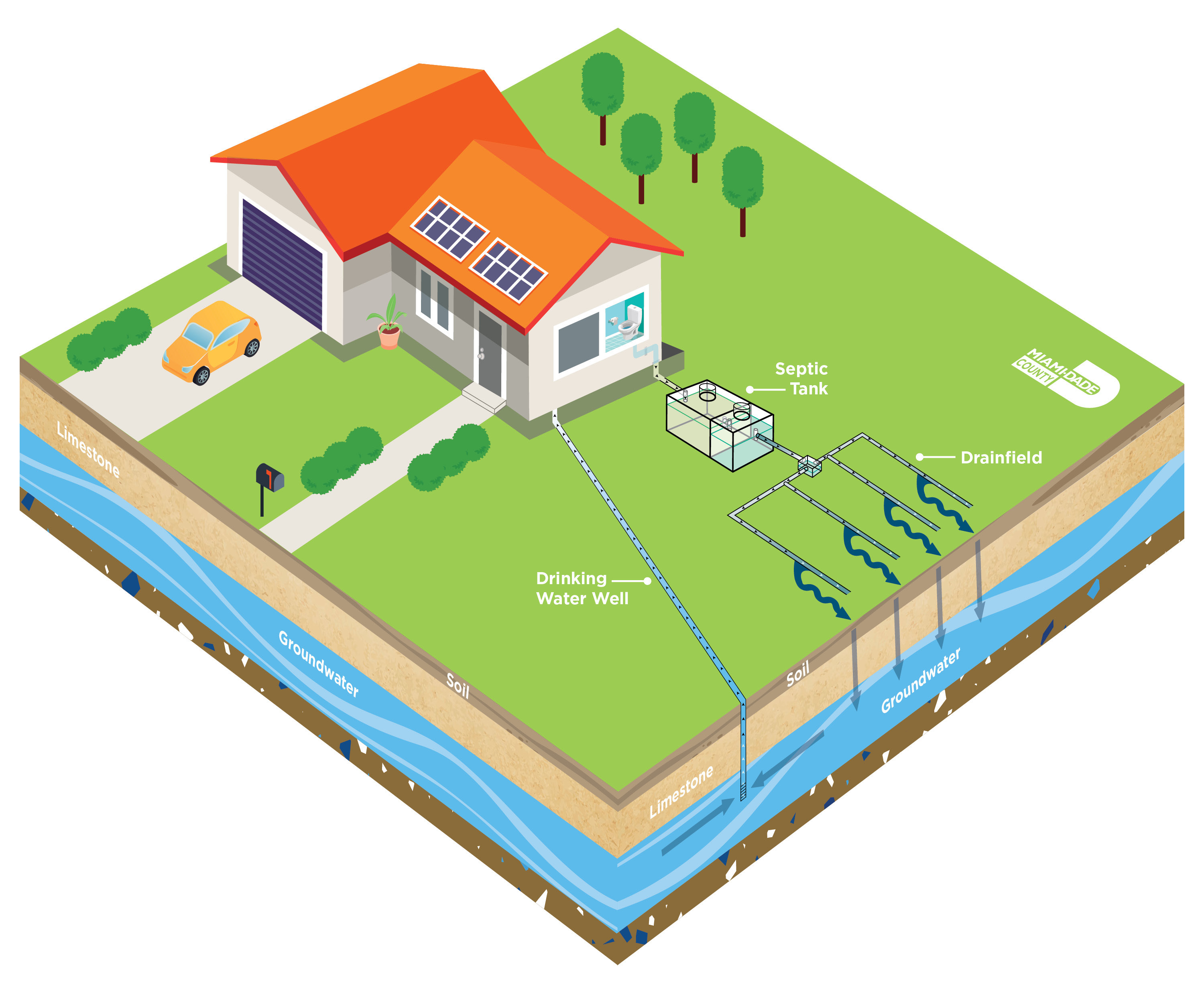 Graphic of a home's septic system