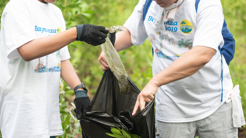 volunteers collecting litter