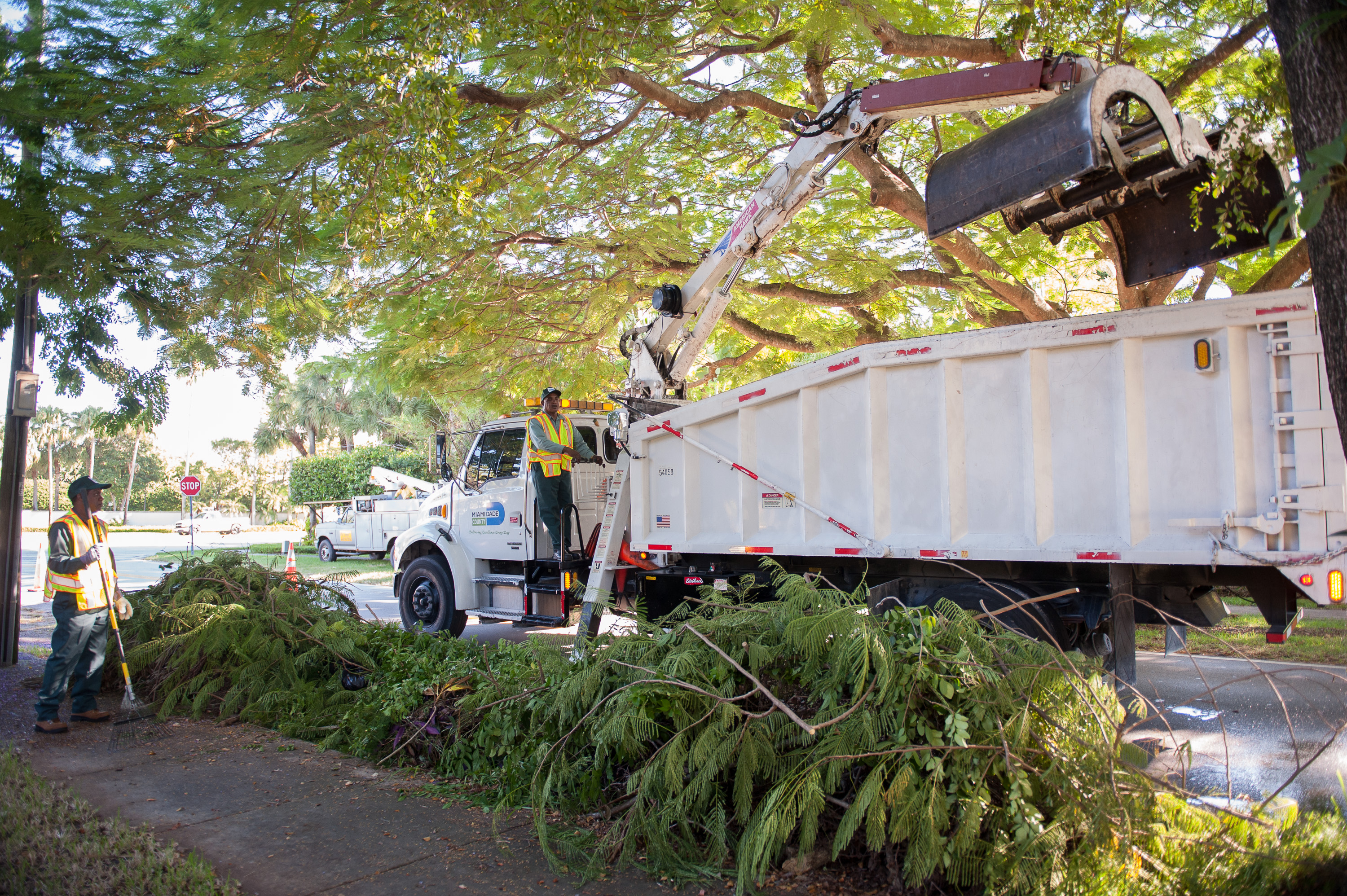 DSWM waste collection