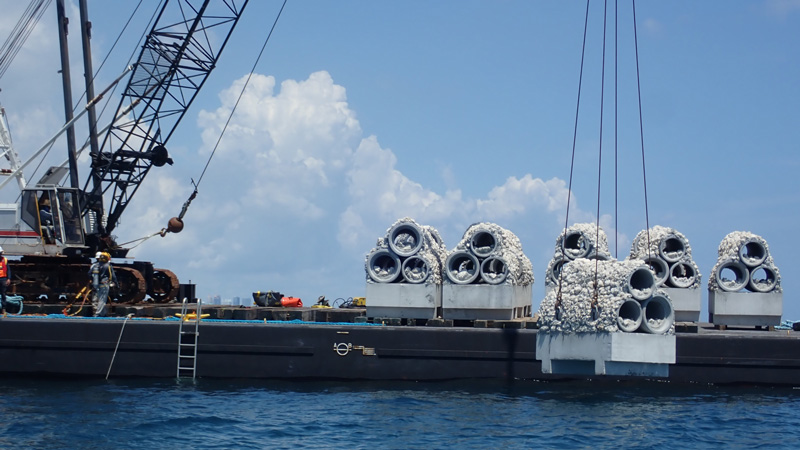 Mitigation Modules