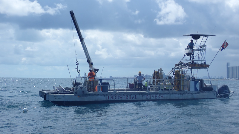 eternal reef 36