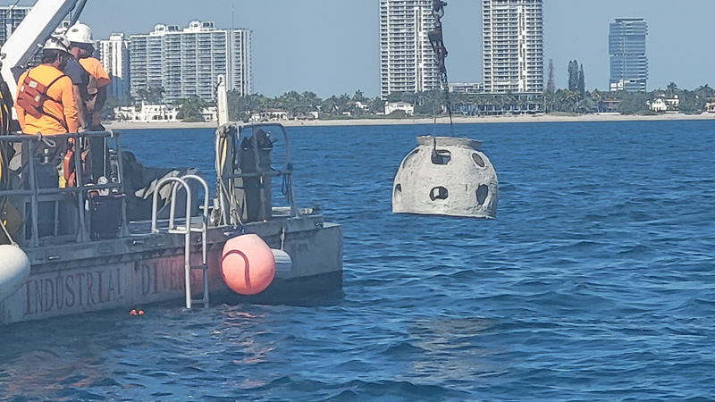 eternal reef 42